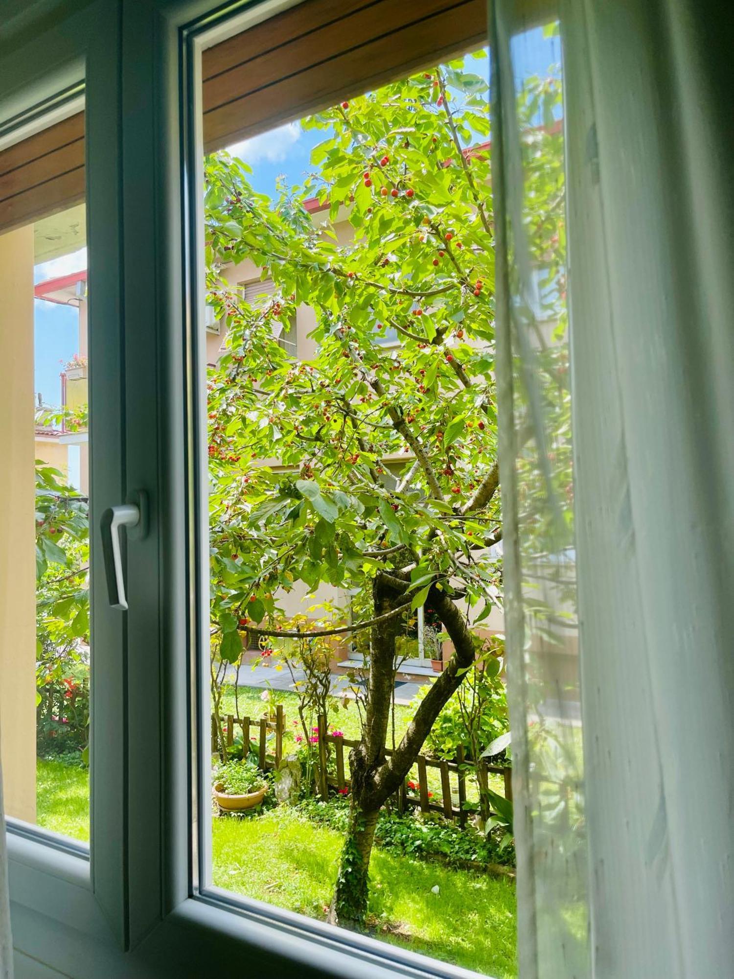 Le Rose Apartamento Trieste Exterior foto